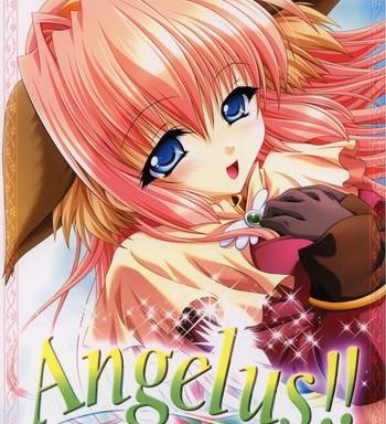 angelus cover