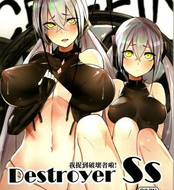 lt gt destroyer ss cover