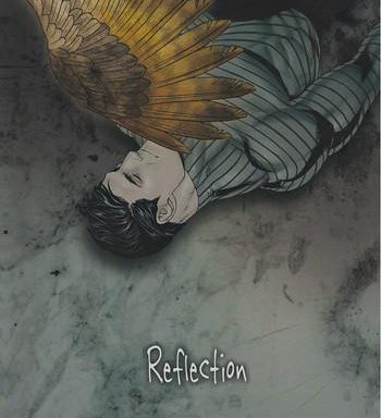 reflection cover