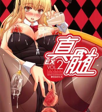 shinzui ex vol 2 cover