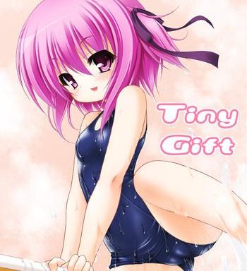 tiny gift cover