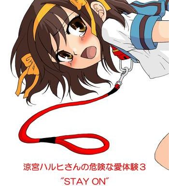 suzumiya haruhi san no kiken na ai taiken 3 cover