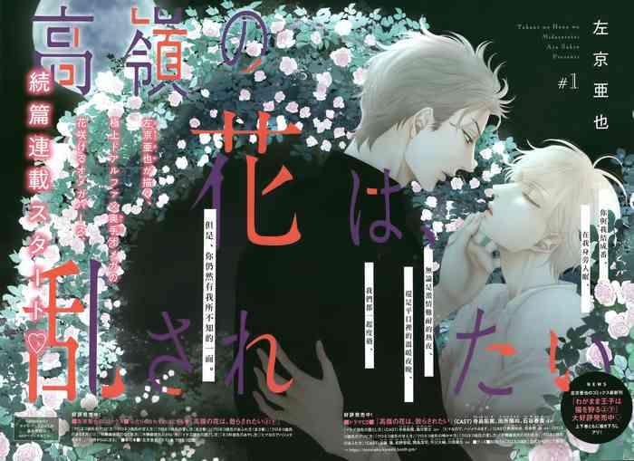 takane no hana wa midasaretai 01 03 cover