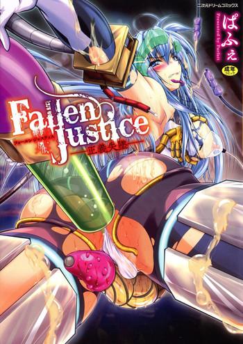 fallen justice cover