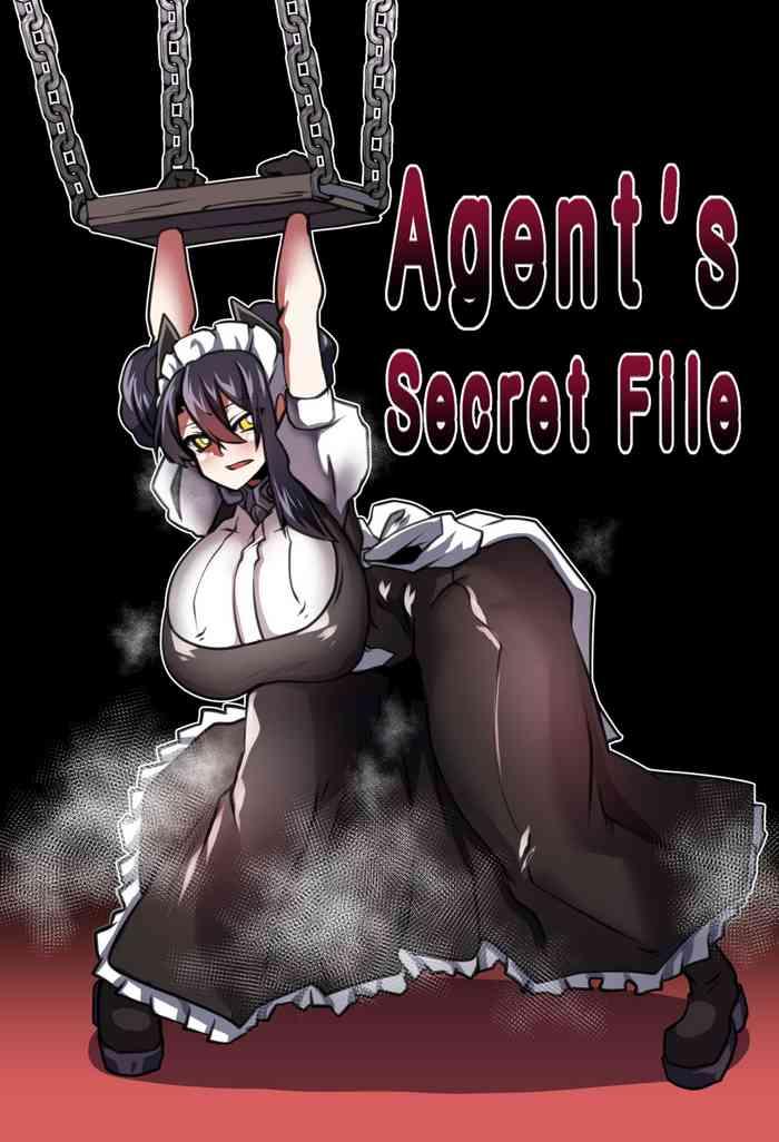 agent x27 s secret file cover
