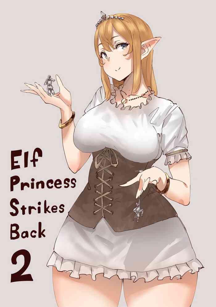 elf princess strikes back part2 cover