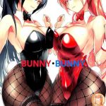 bunny bunny cover