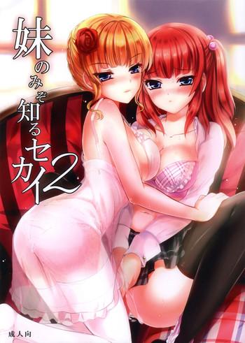 imouto nomi zo shiru sekai 2 cover