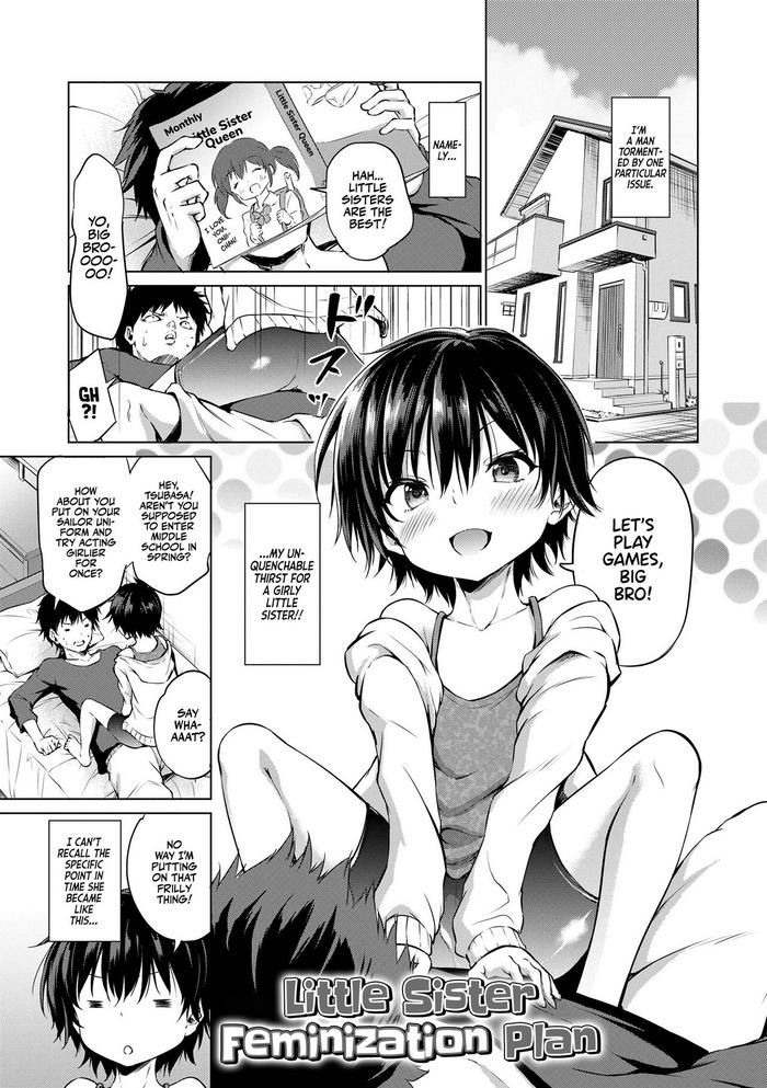 imouto mesu ka keikaku little sister feminization plan cover