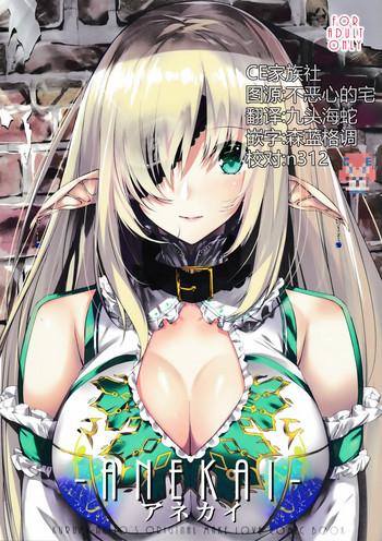 anekai cover