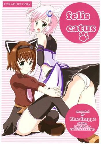 felis catus cover