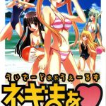 wizard of wales negima cover